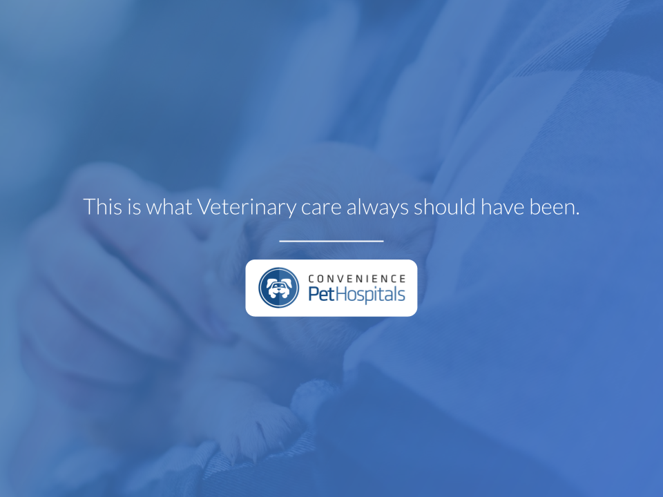 (Logo) Convenience Pet Hospitals - This is what Veterinary care always should have been.